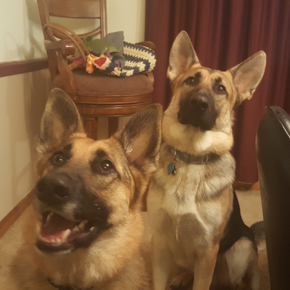 Meet your Posher, Brother and sister